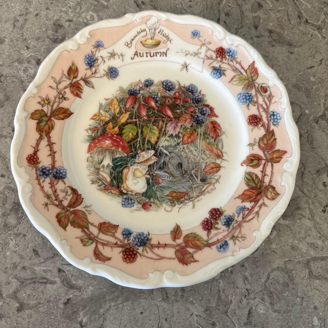 ロイヤルドルトン ブランブリーヘッジ カップやプレートなど5点セット　1983