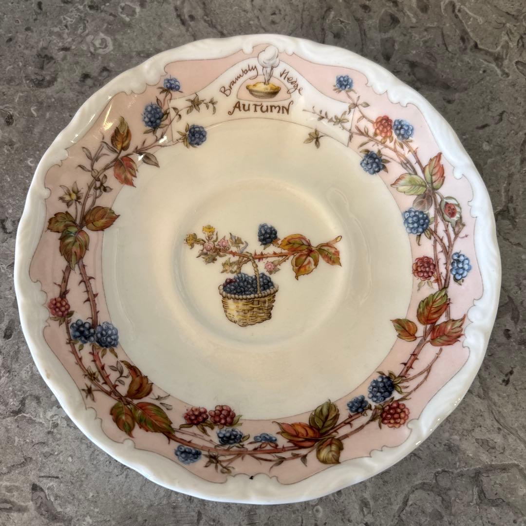 ロイヤルドルトン ブランブリーヘッジ カップやプレートなど5点セット　1983