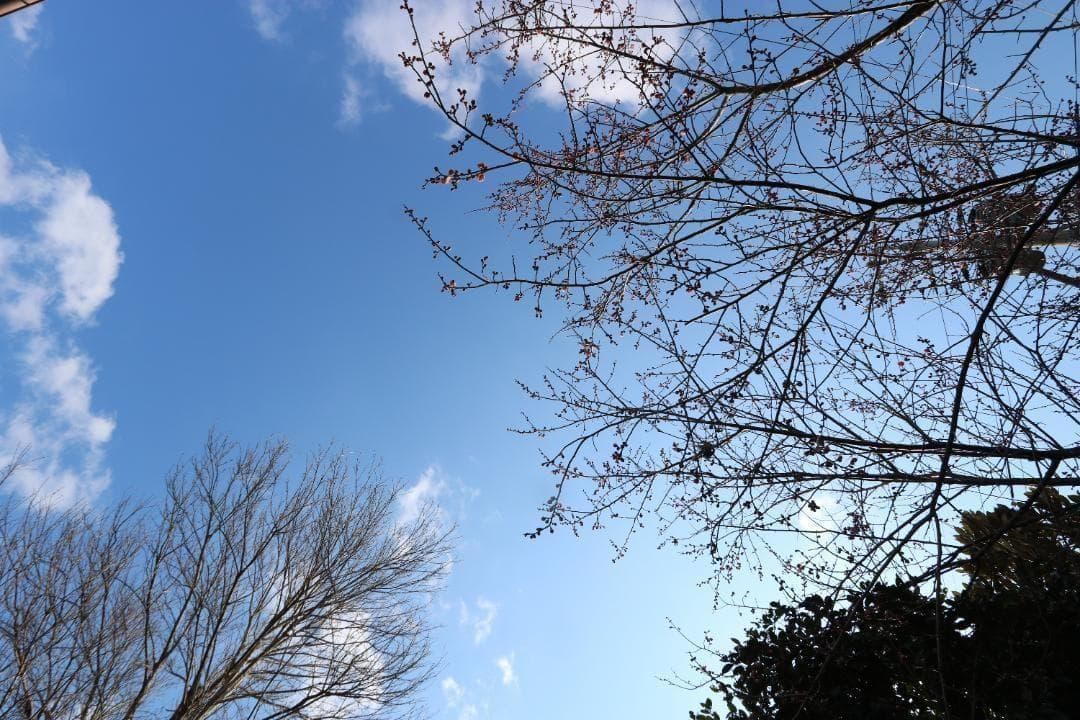 Canon EF-S 10-22mm USM★広大な景色をそのまま写そう！