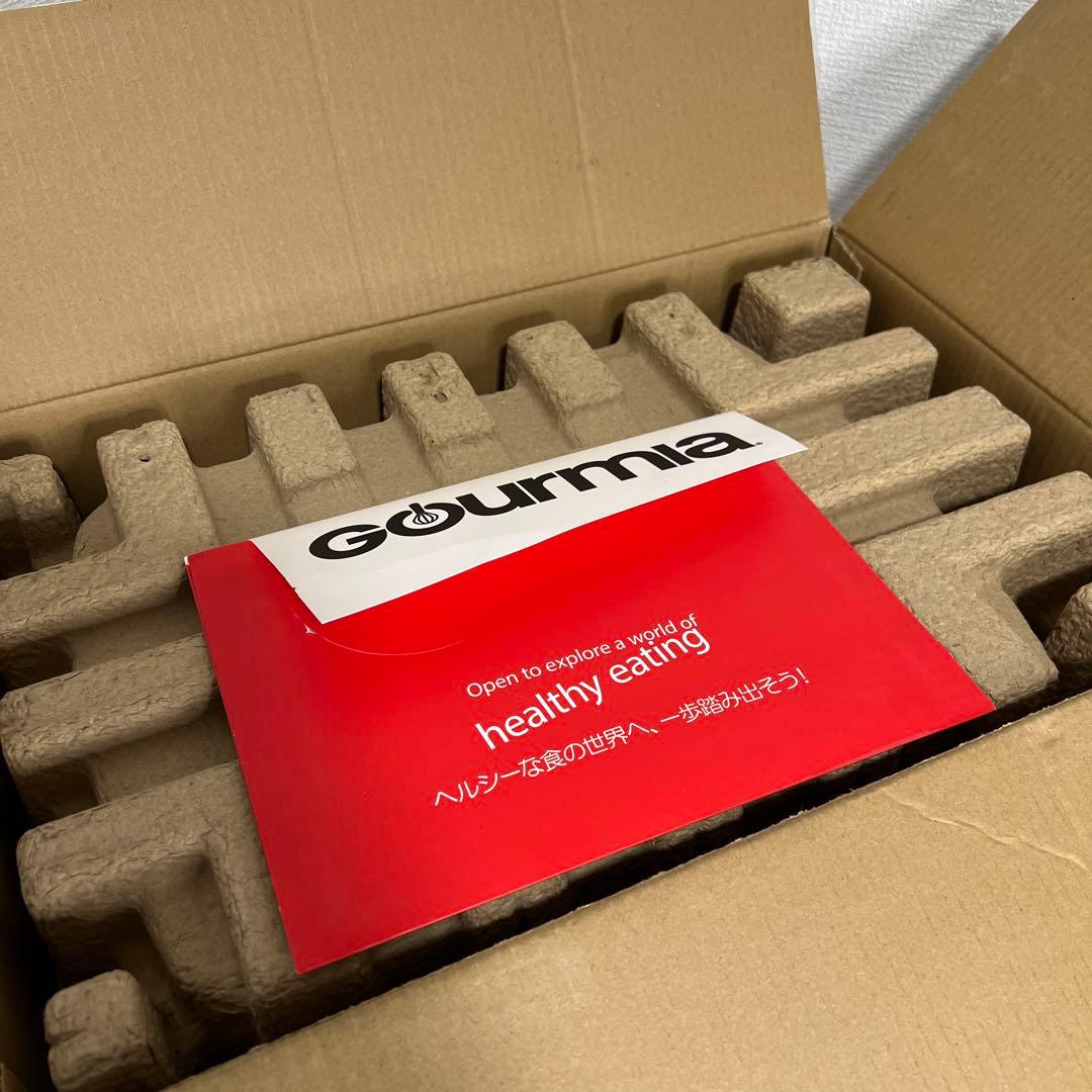 【美品】グルミア GOURMIA デュアルバスケット エアーフライヤー