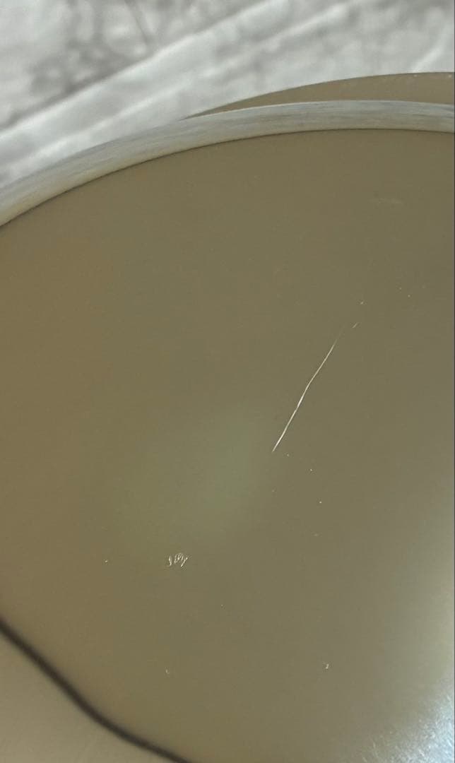 【美品】Amway Queen 大フライパン 7層 高級ステンレス 現行品