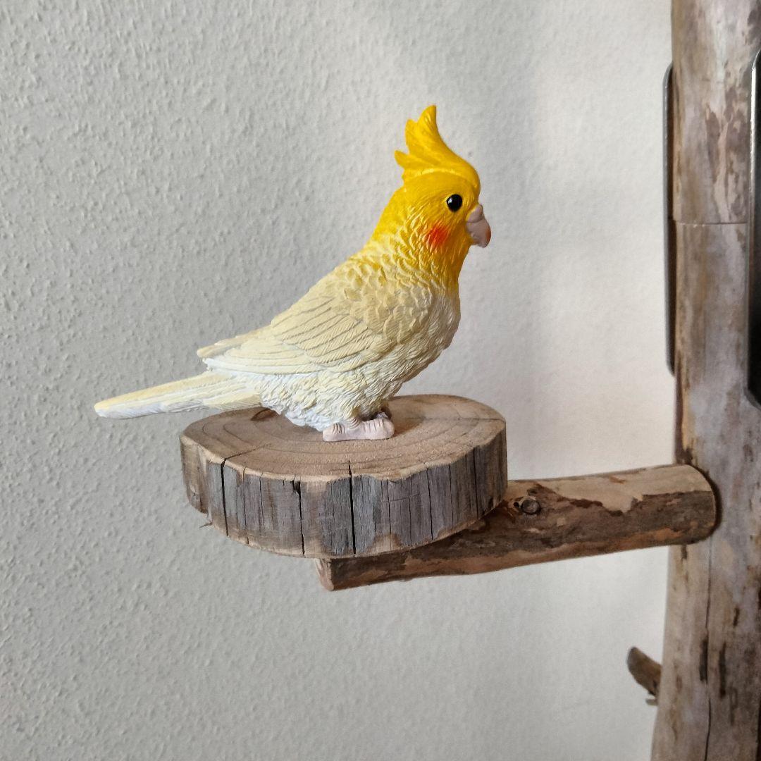 バードアスレチックジム㊼ 天然木 自然木 流木 止まり木 インコ