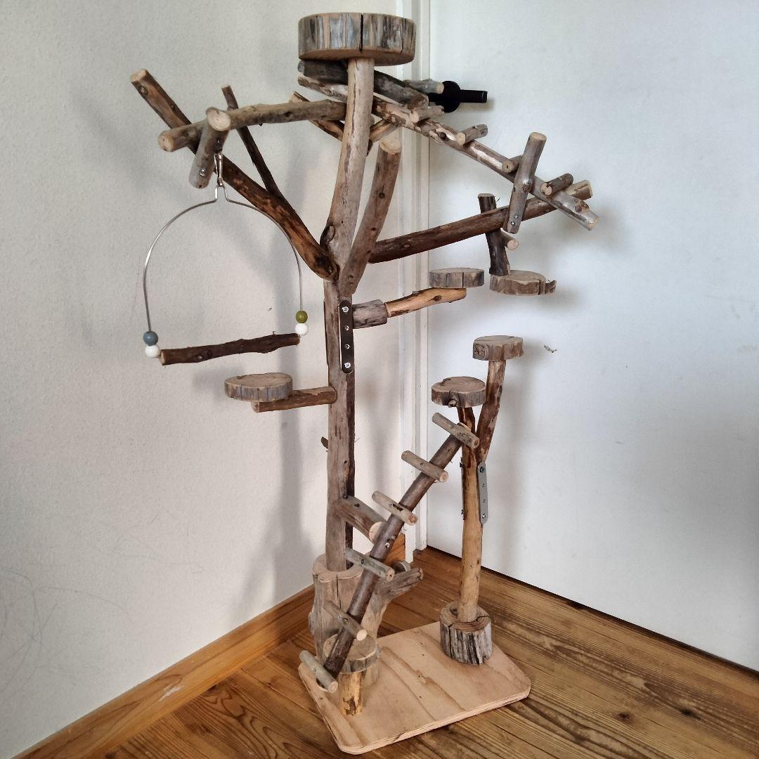 バードアスレチックジム㊼ 天然木 自然木 流木 止まり木 インコ