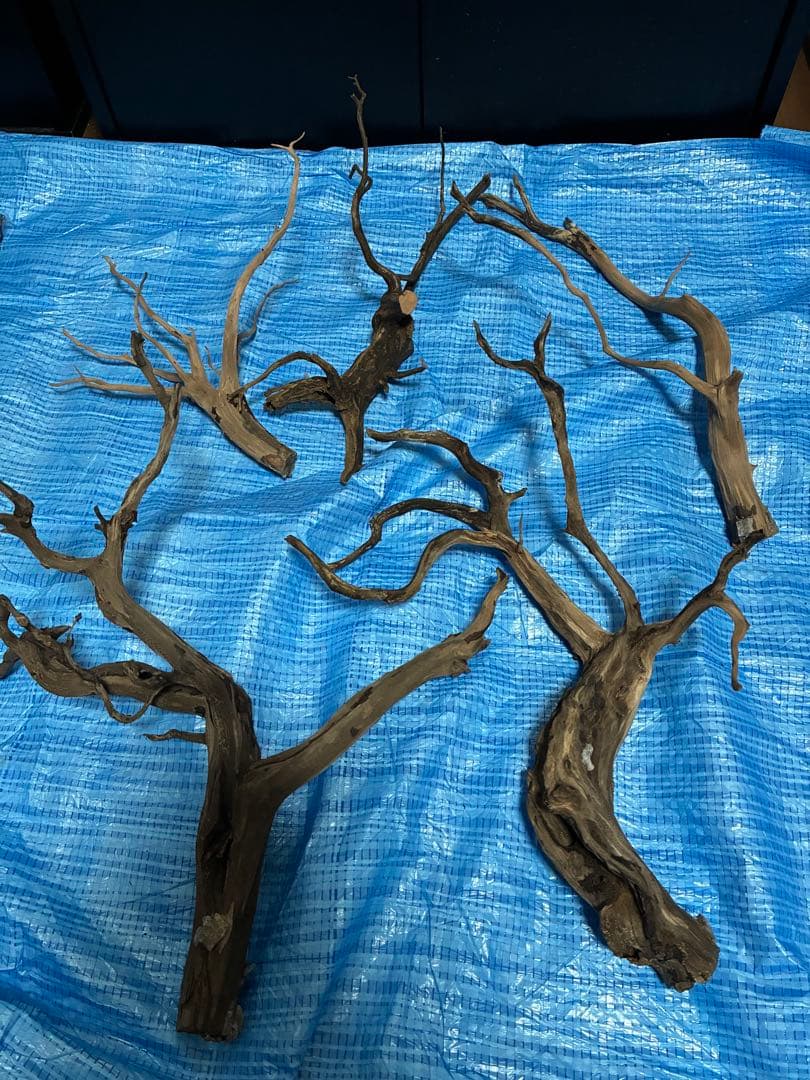 【引き取り限定】60cm水槽、水槽台+45cm水槽台+レイアウト素材　フルセット