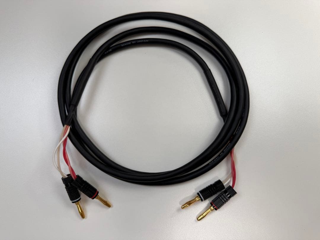 Audioengine オーディオエンジン A2+ Wireless