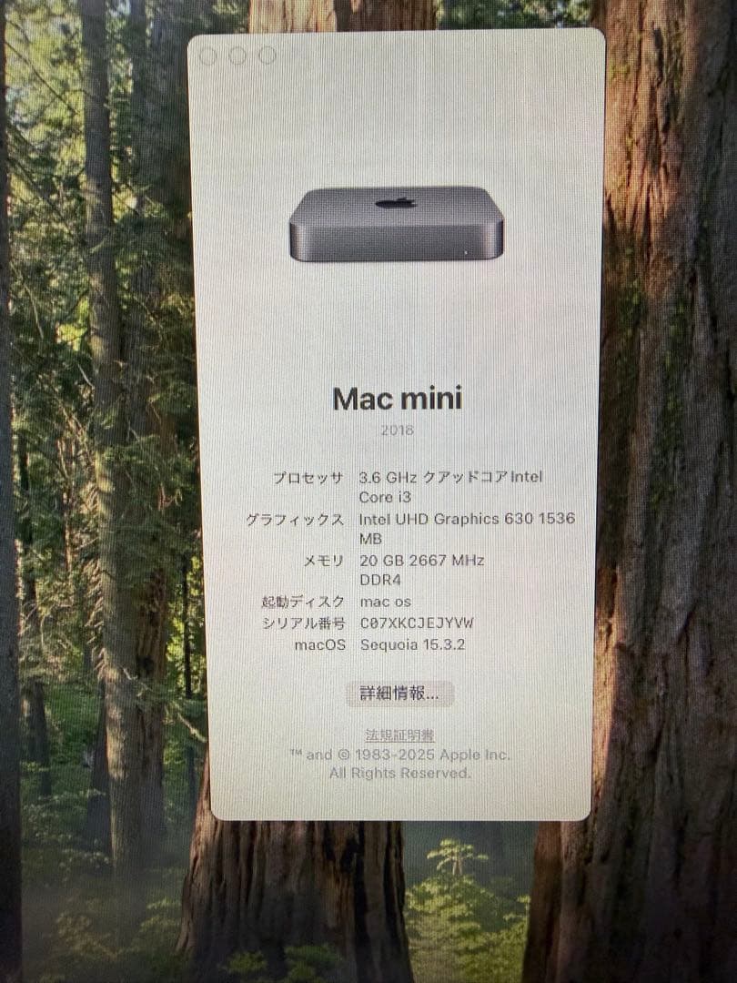 Apple Mac mini スペースグレー 本体　2018