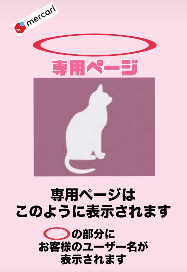 ニュートロ　シュプレモ　成猫用（チキン&サーモン）3kg×６袋　ナナミ③
