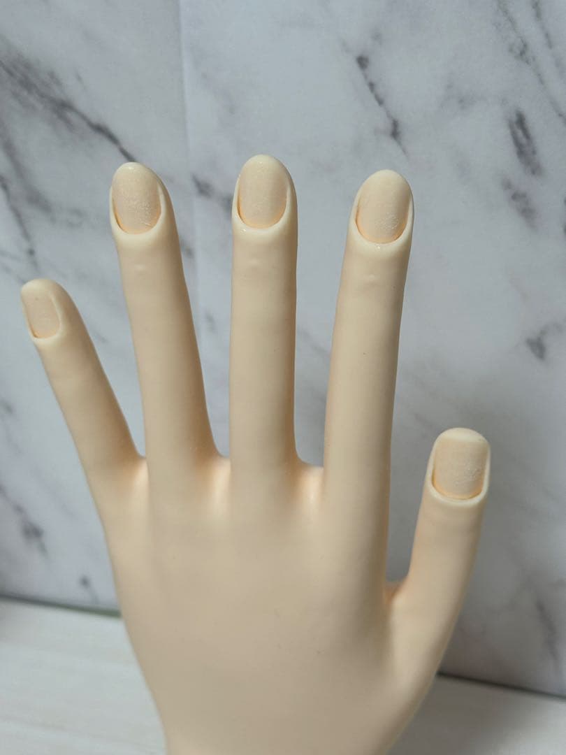 ネイリスト技能検定試験用 JNEC認定モデルハンド（骨折なし）
