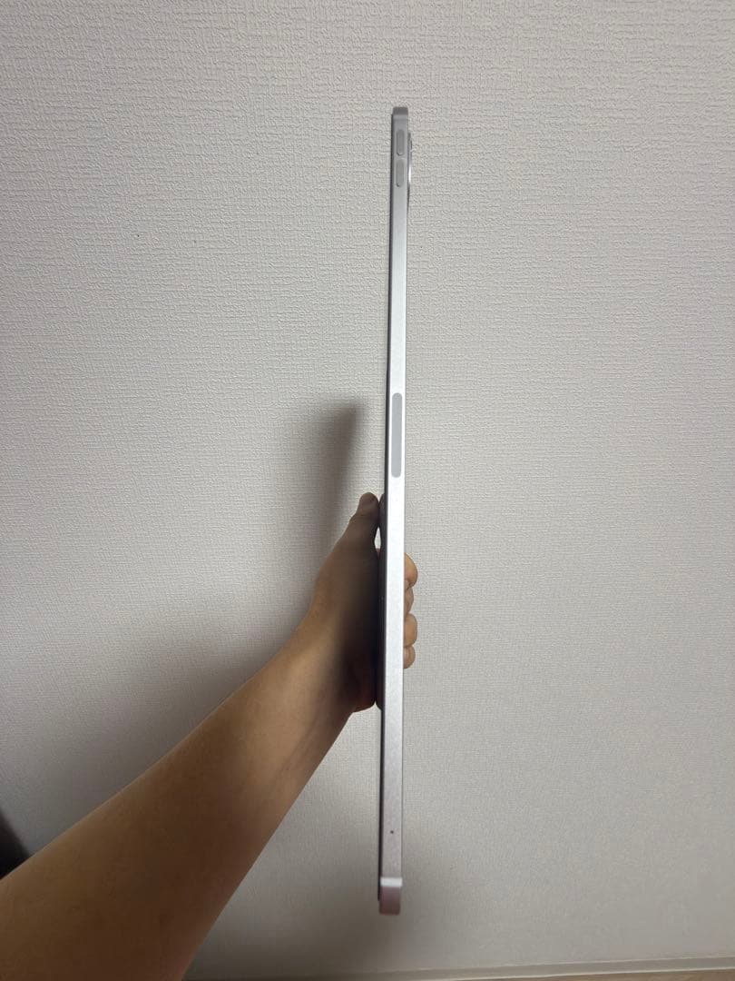 Apple iPad Pro 11インチ (M4) 256GB 美品