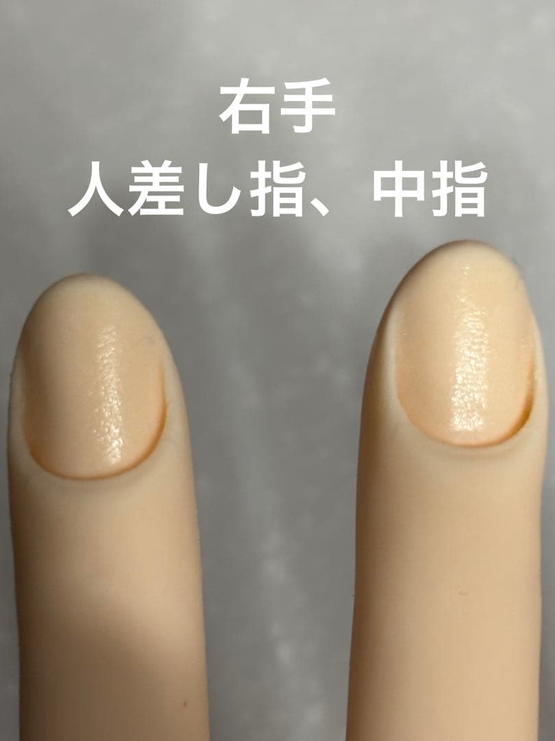 STモデルハンド右手&左手 ネイリスト技能検定試験用 JNEC認定モデルハンド