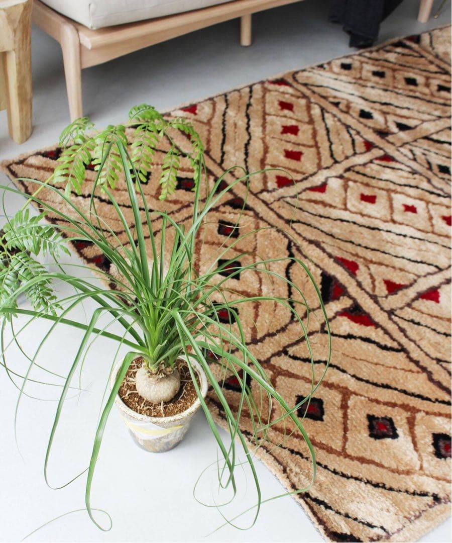 さーんJORNAL STANDARD FURNITURE ボニラグ