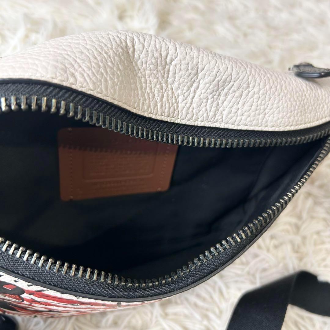 美品 コーチ ディズニー キースヘリング コラボ ウエストバッグ ボディバッグ