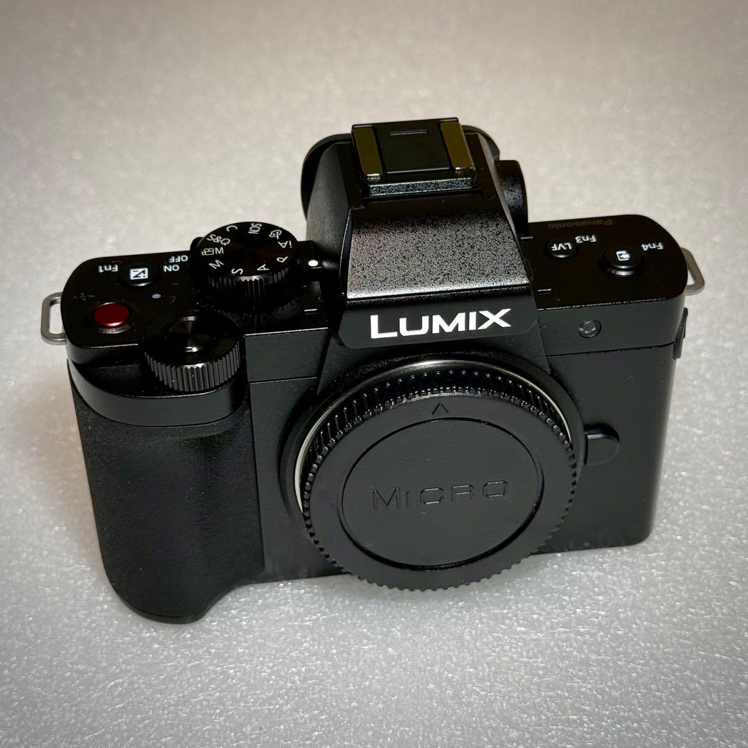 Panasonic LUMIX G100D ボディ