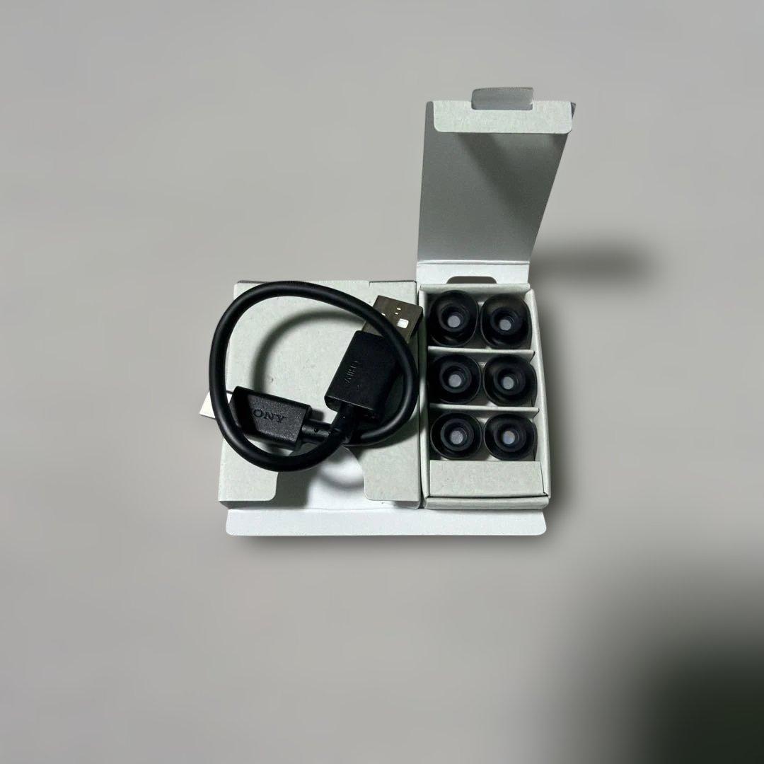 SONY LinkBuds Fit￼ ブラック