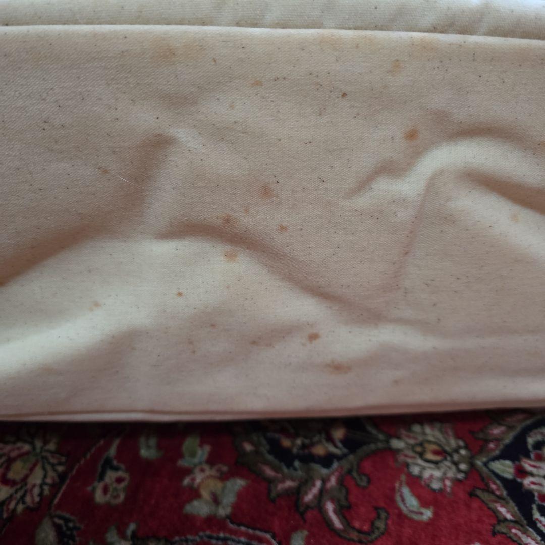 ✨希少LA発Louisdogファー付きペットキャリーバッグ ファーは取り外し可能