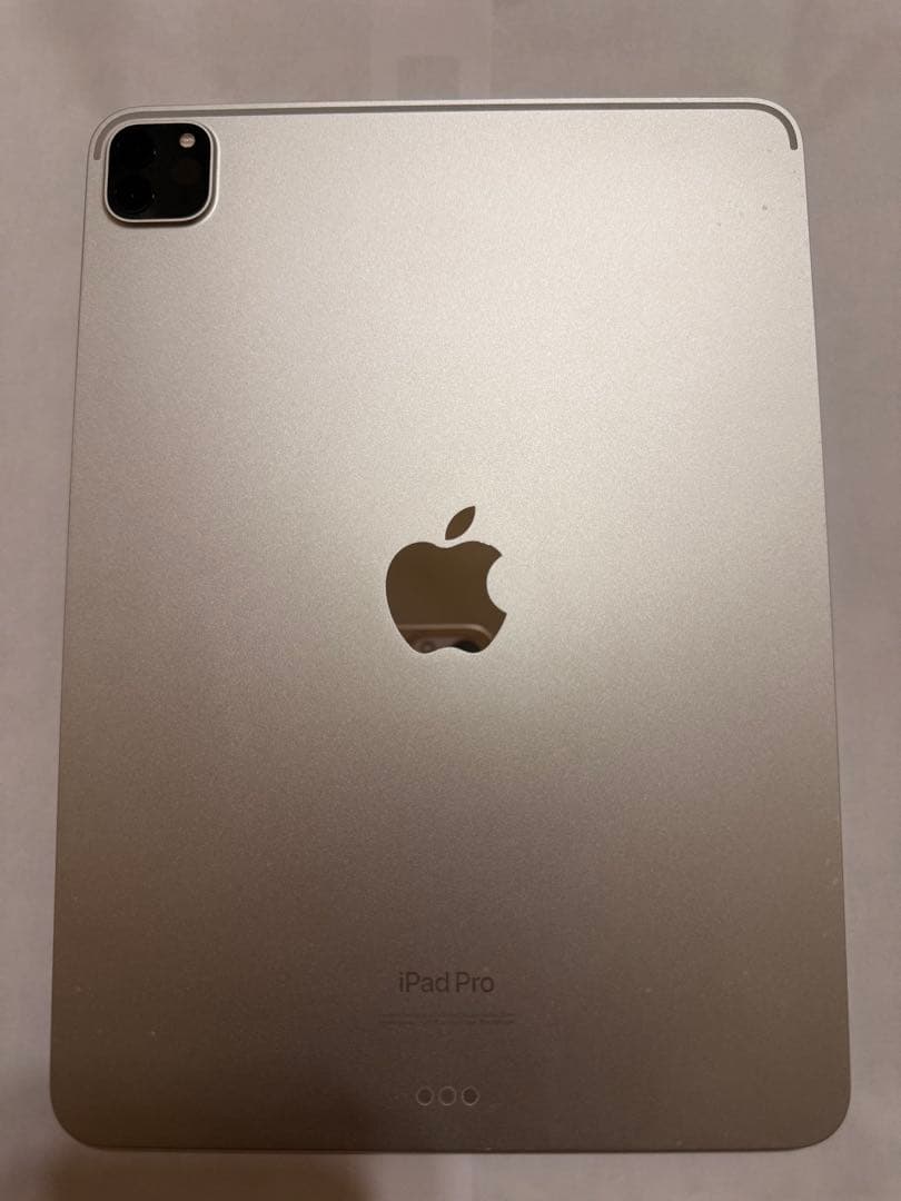 Apple iPad Pro 11インチ 第４世代　本体