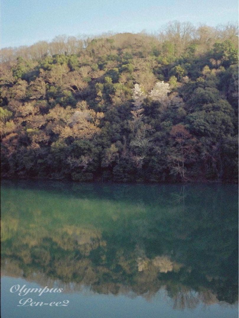 ★完動品＊美品★olympus pen ee2★フィルムカメラ入門に！★本革外装