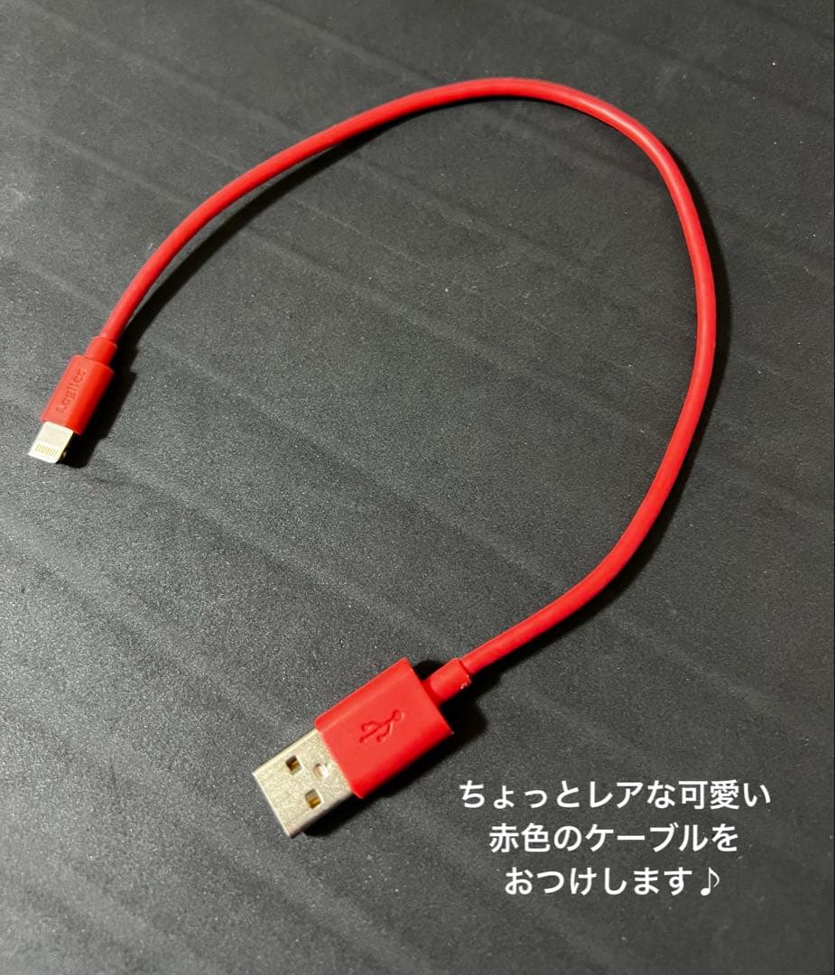 AirPods Pro 2 本体 + 充電ケース + USBケーブル+オマケつき