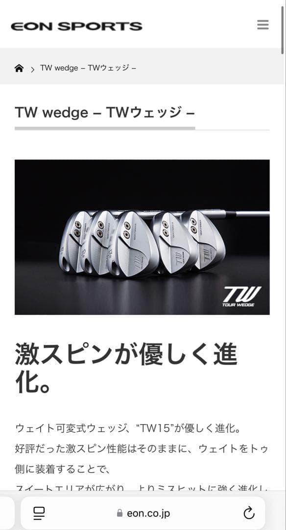 イオンスポーツ　ギガウェッジ (52・58セット)