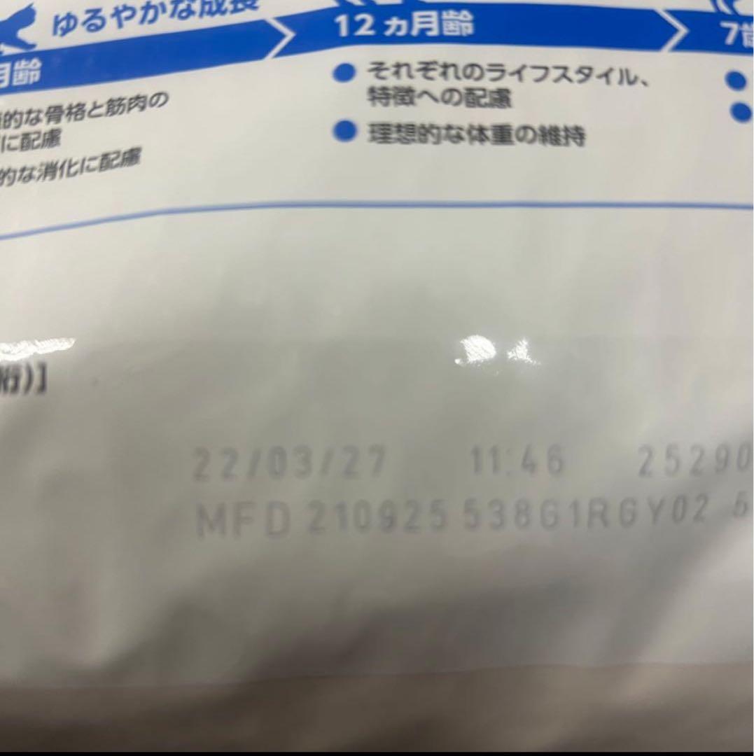 は*せ様 ロイヤルカナン　室内で生活する成猫用　インドア　 合計8kg
