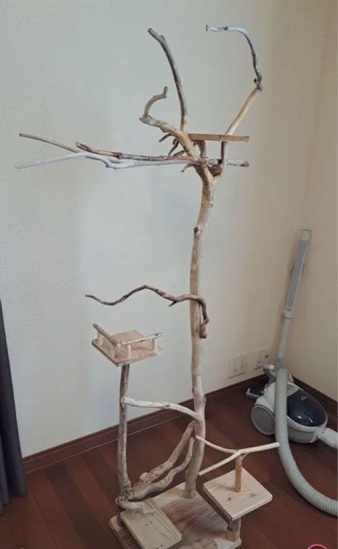 ぴあ　グッズ整理中さま