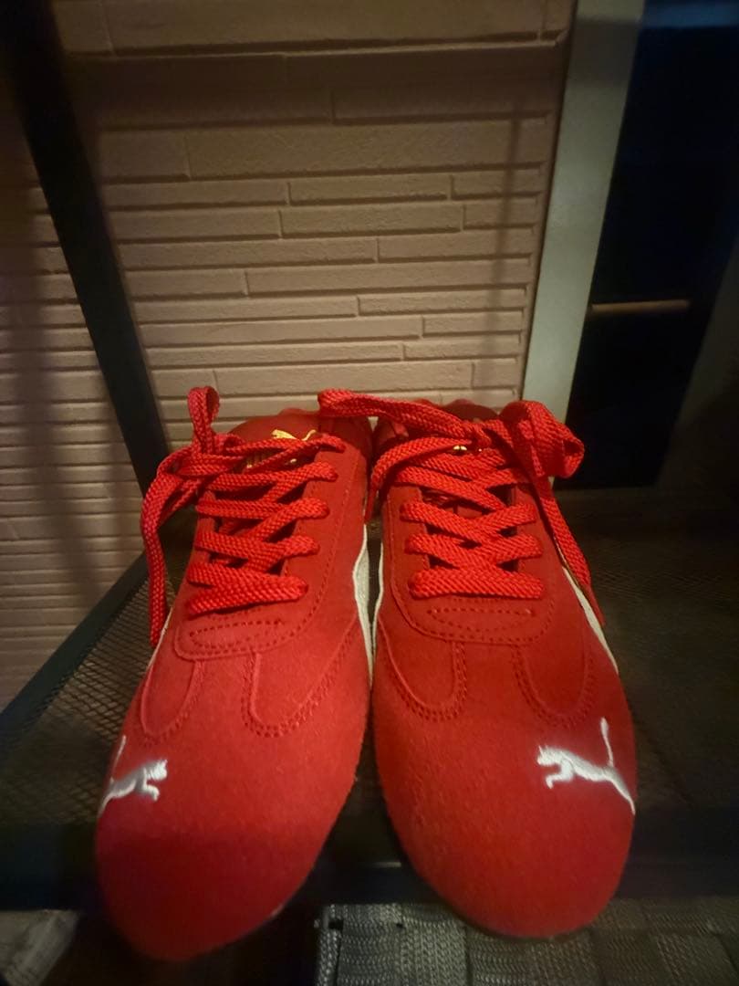 スピードキャット 24.5
