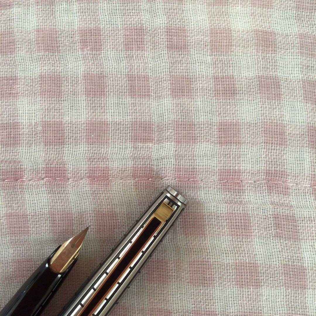 プラチナ 14K 14金 万年筆 ショート 中字 蝕刻 食刻 黒 廃盤