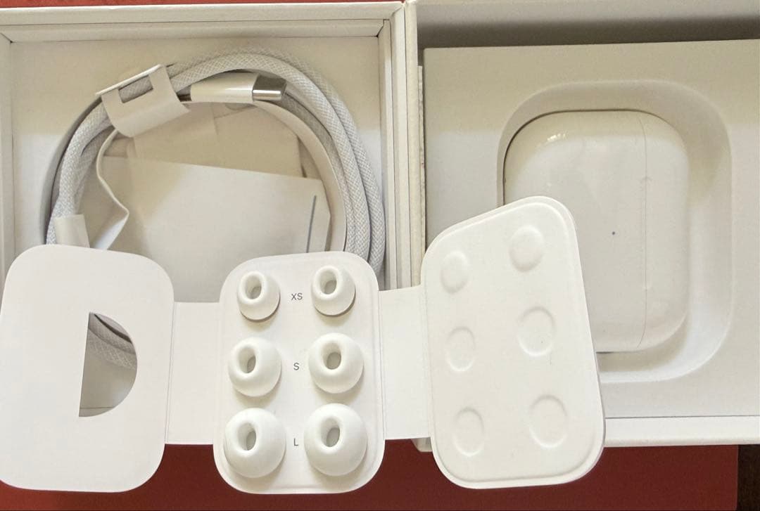 AirPods Pro 本体