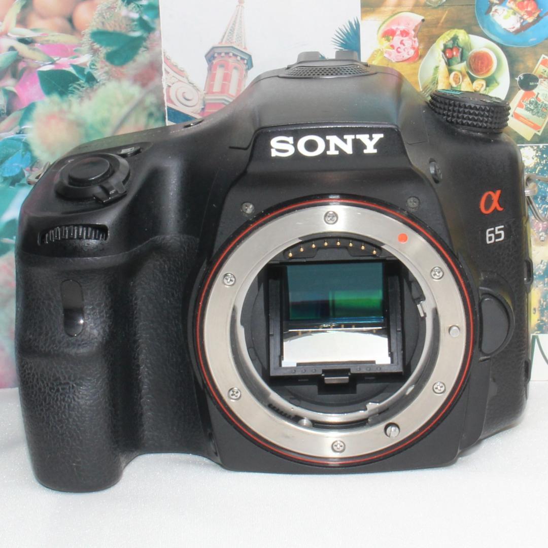 ❤️ハイスペック本格一眼レフ❤️SONY SLT-A65 トリプルズーム❤️