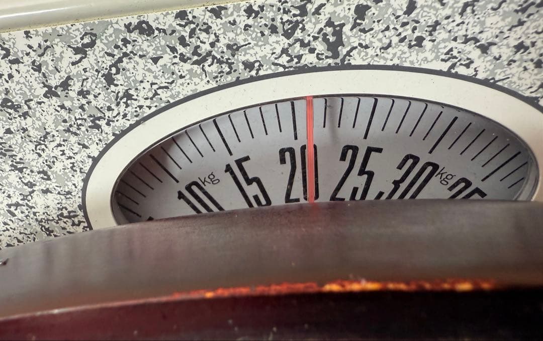 アメジスト ドーム クラスター 大型 天然石 1点物