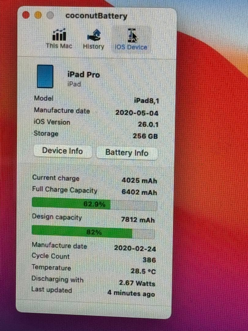 iPad Pro11 256GB 大容量　最新iOS26済 バッテリー容量81%