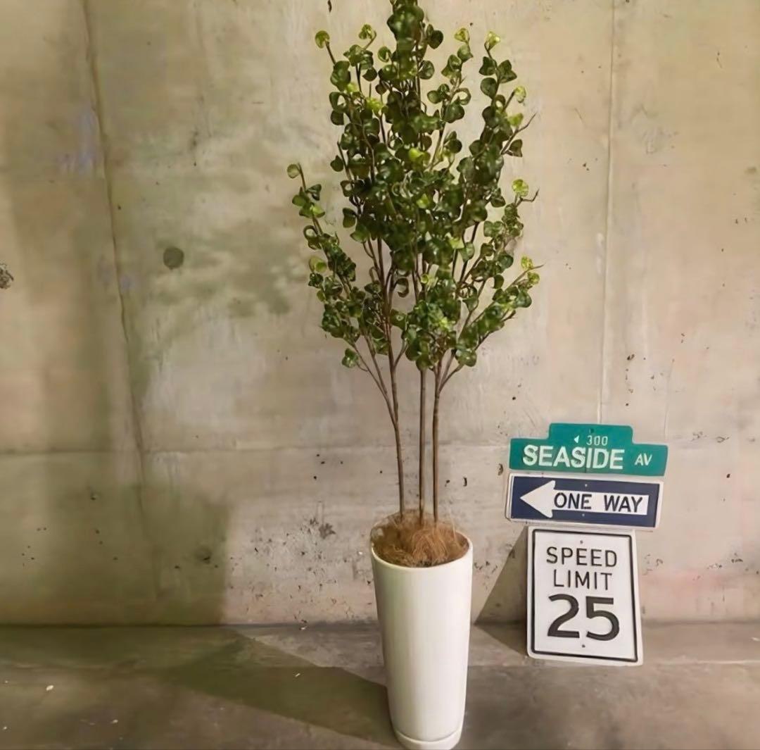 光触媒　人工観葉植物　ウォールグリーン　フェイクグリーン　ベンジャミンバロックa