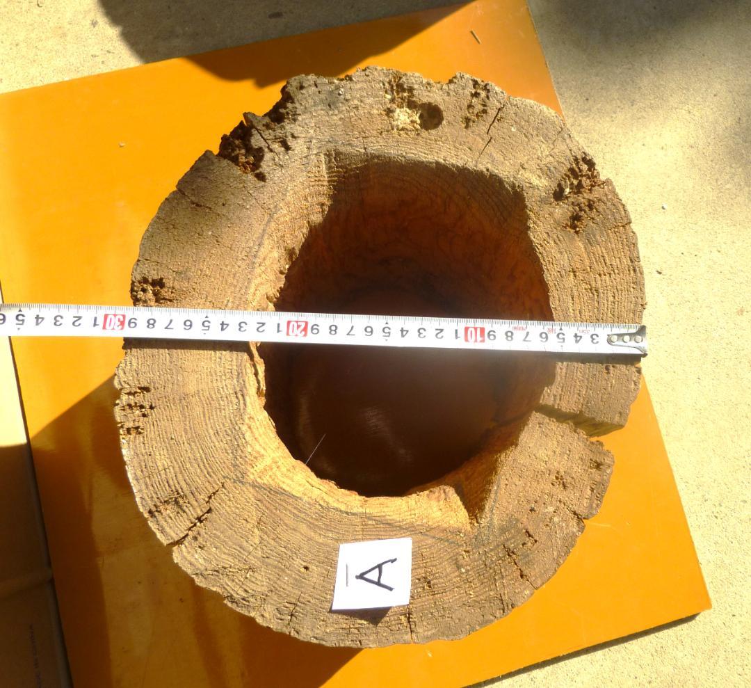 【多群入居実績あり】大寸、杉丸太（A）