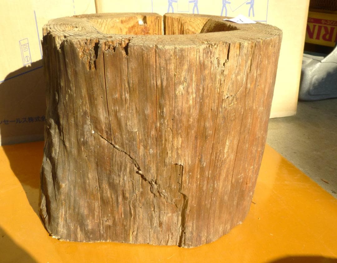 【多群入居実績あり】大寸、杉丸太（A）