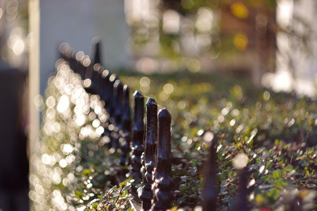 4【希少】Helios44 　美品　初期型ゼブラ　ヘリオス44　ぐるぐるボケ