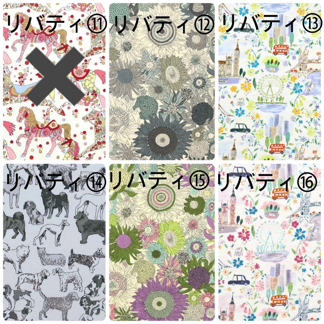 梨ページイジィデミニサイズクラシック25サイズバッグインバッグ