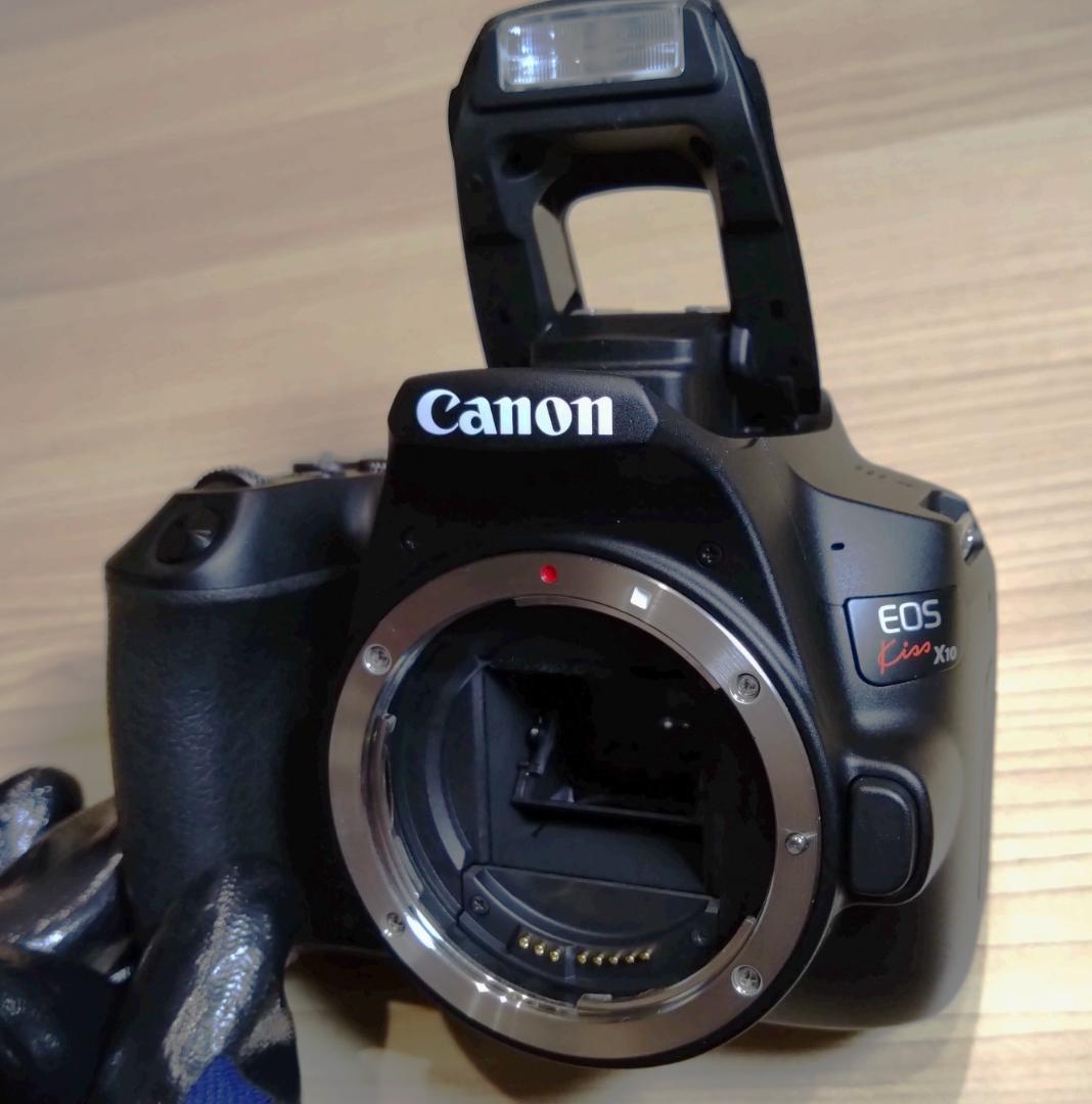 デジタルカメラ Canon EOS Kiss X10 / REBEL SL3 / 200D II
