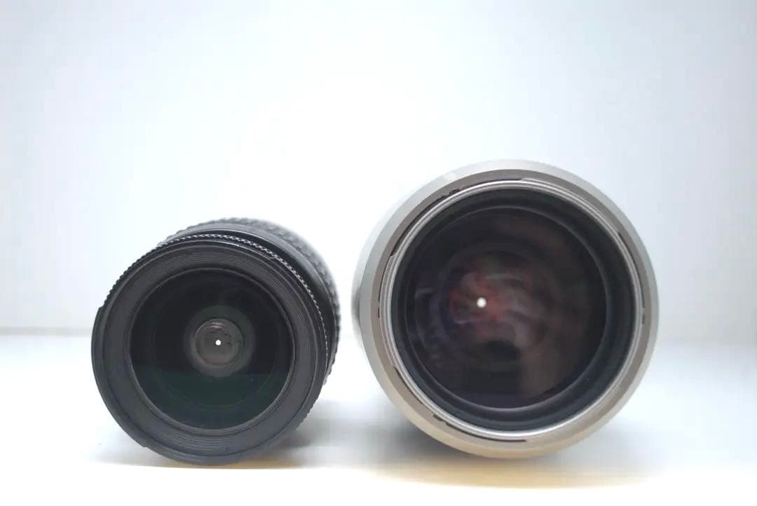 ⭐️即購入で値下げします⭐️ Nikon D50ダブルセット コスパ重視