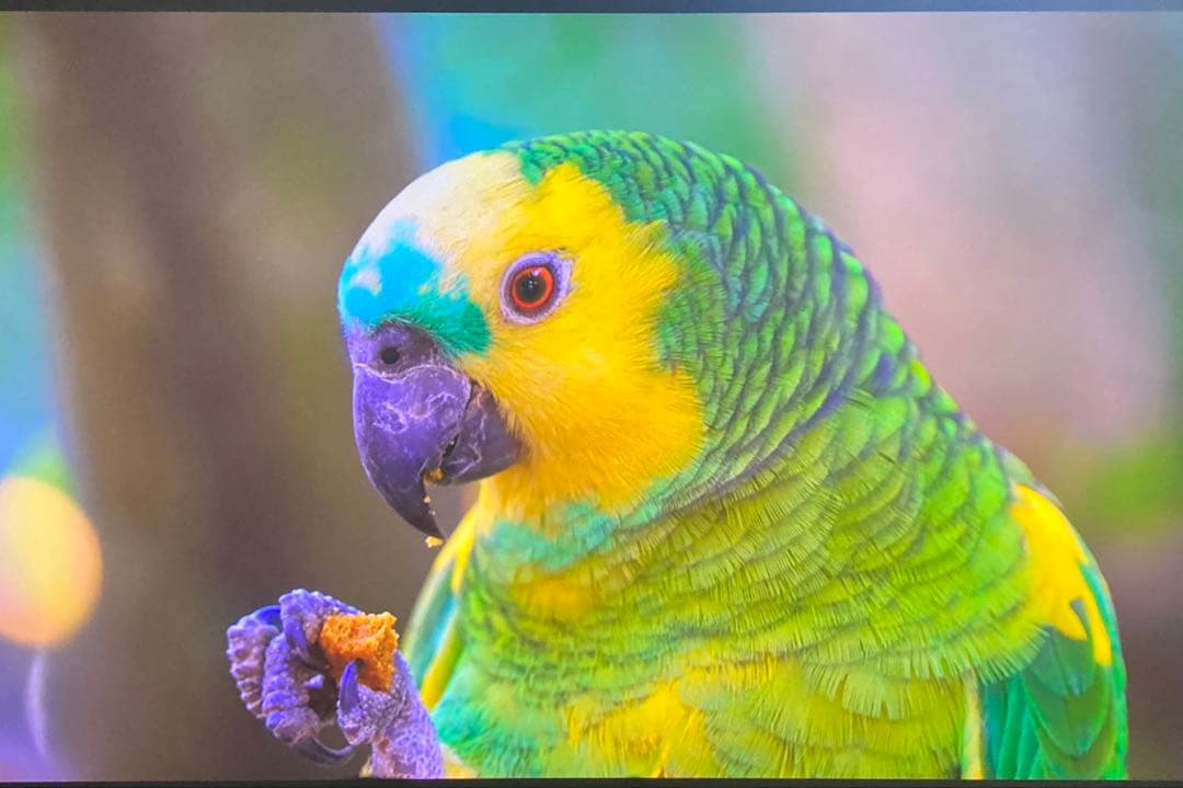 JVCビクターDLA-HD750-B ランプ時間772h