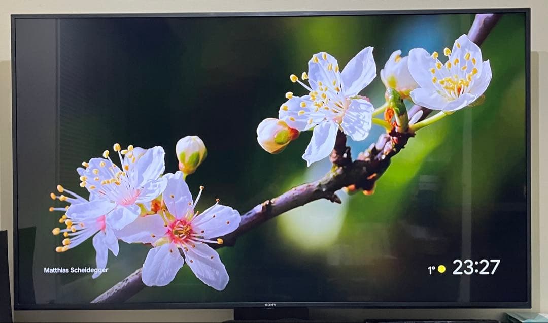 SONY BRAVIA KJ-65X80J 4K テレビ