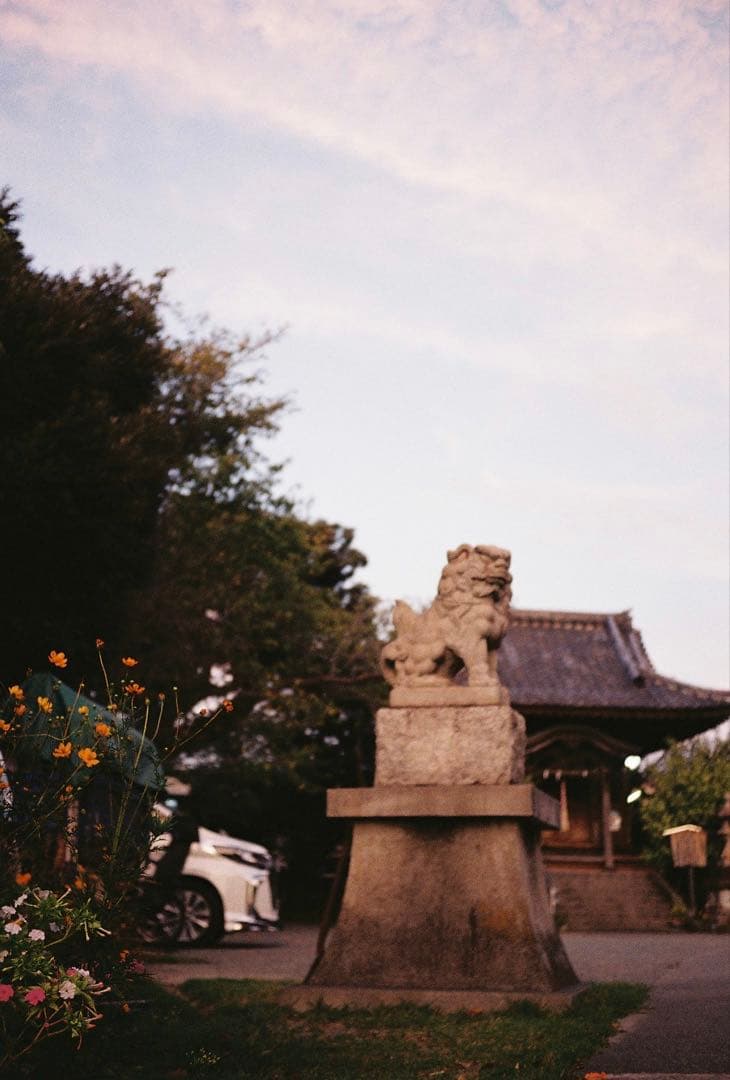 Leica minilux コンパクトフィルムカメラ