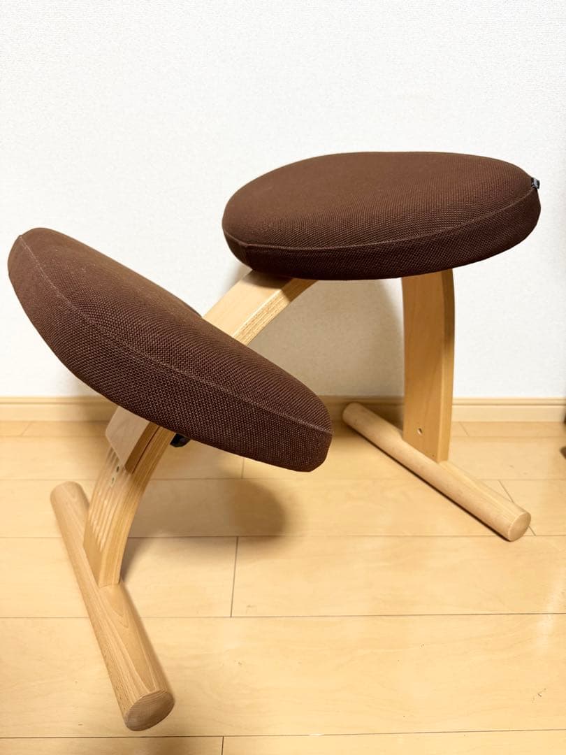 バランスイージー サカモトハウス 通常フレーム バランスチェア 腰痛対策 椅子