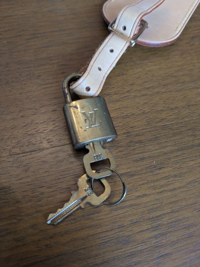 LOUISVUITTON　ペットキャリー