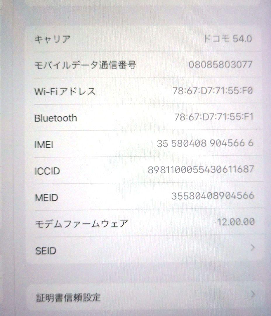 Apple iPad(第5世代) A1823 128GB