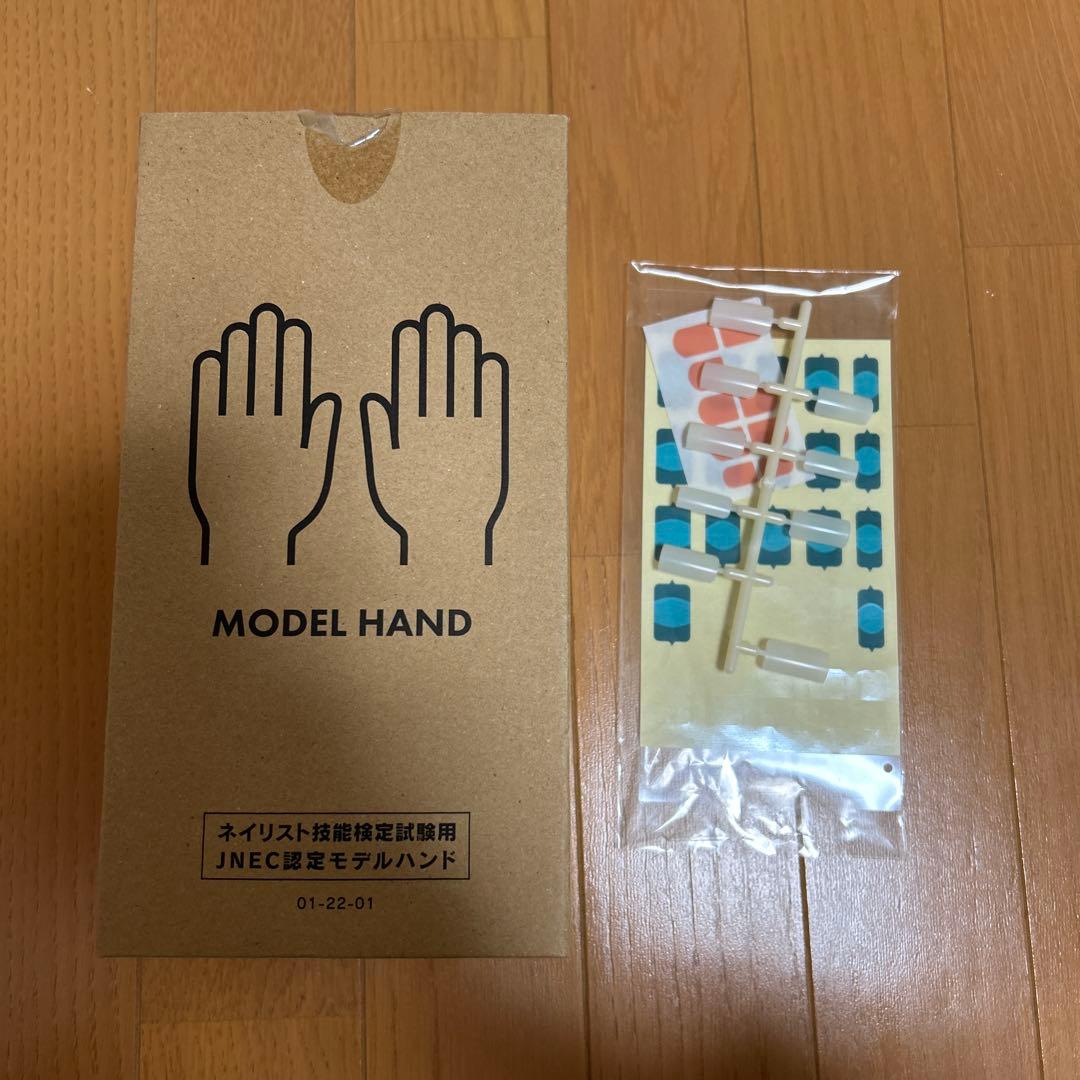 ST モデルハンド 両手