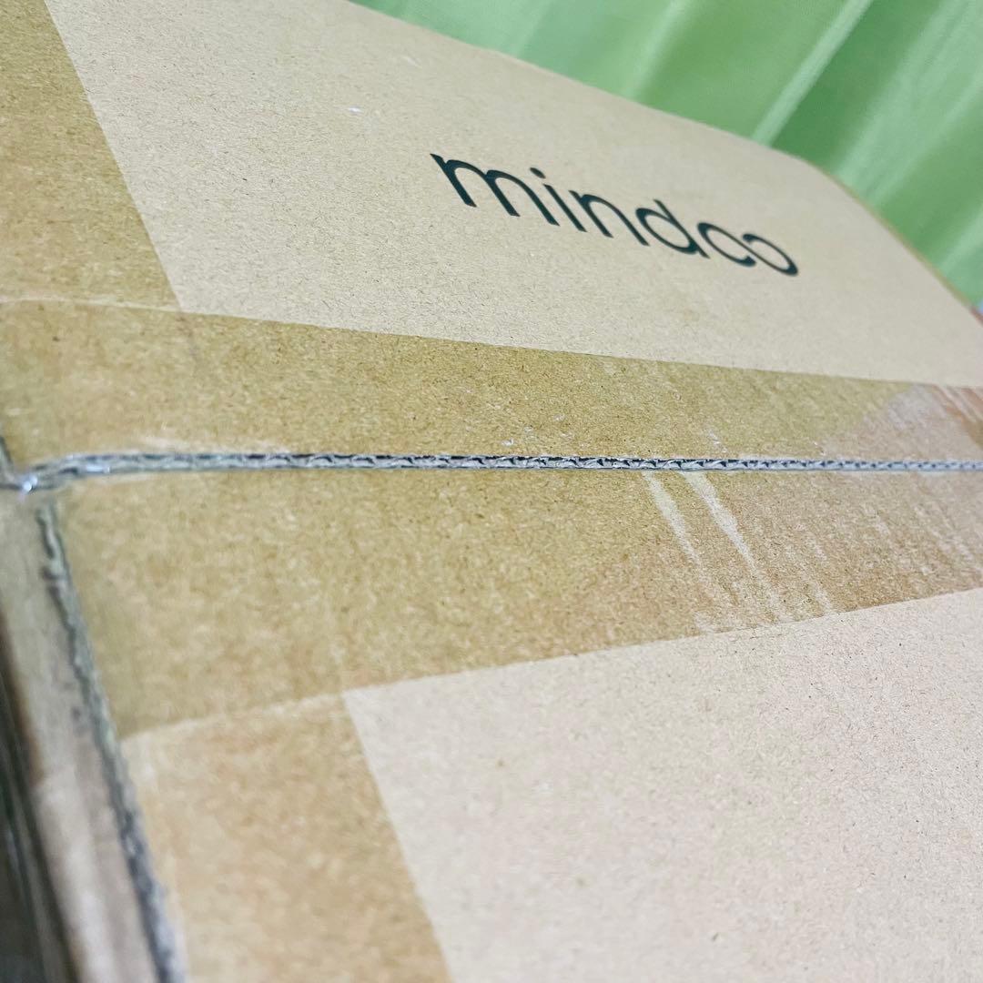 【新品未使用】mindoo AquaX ミンドーアクアエックス 水拭き掃除機