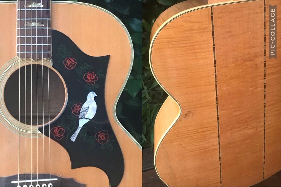 Morales Ｍ450 J-180model モラレス