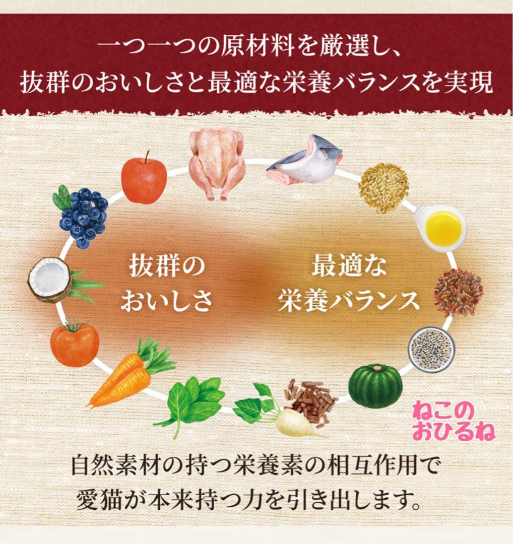 ニュートロ　シュプレモ　成猫用（チキン&サーモン）3kgパック×２袋