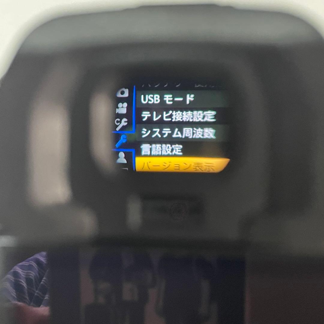 美品 ショット数172回 LUMIX GH5 バッテリー2個充電器