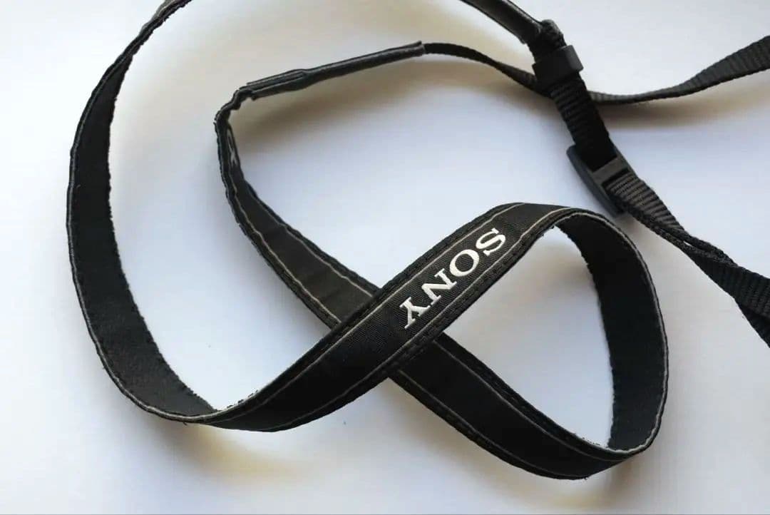 SONY ミラーレス一眼カメラ α NEX 5R